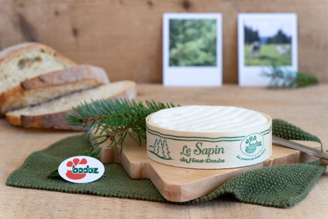 Sapin du Haut Doubs Badoz